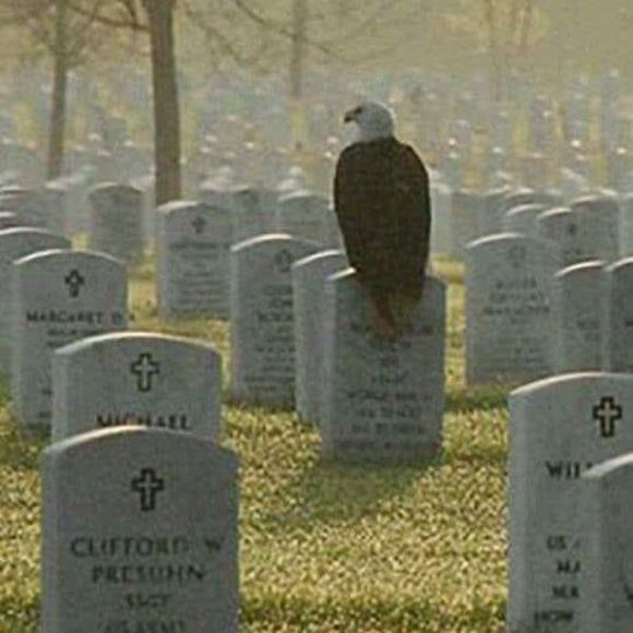 Meet your Posher, Cheryl - Picture 1 of 1